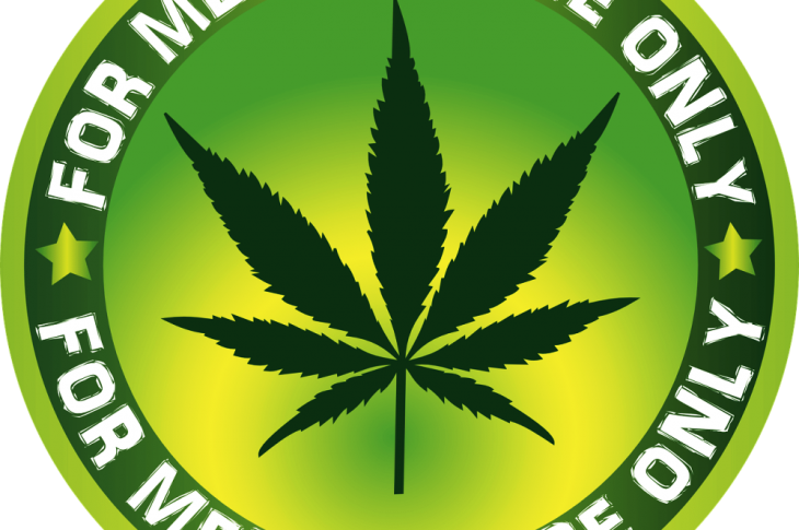 Cannabis: l’uso terapeutico è contestato dalla UE