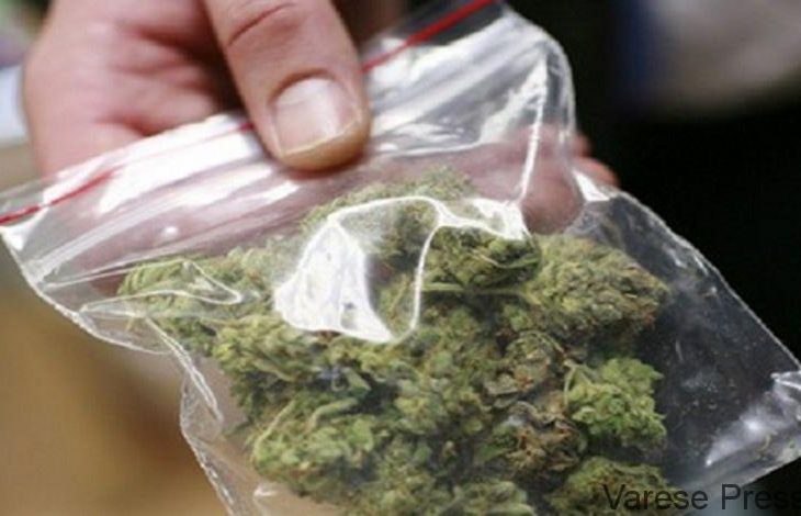 Mozzate: preso con la Marijuana negli slip
