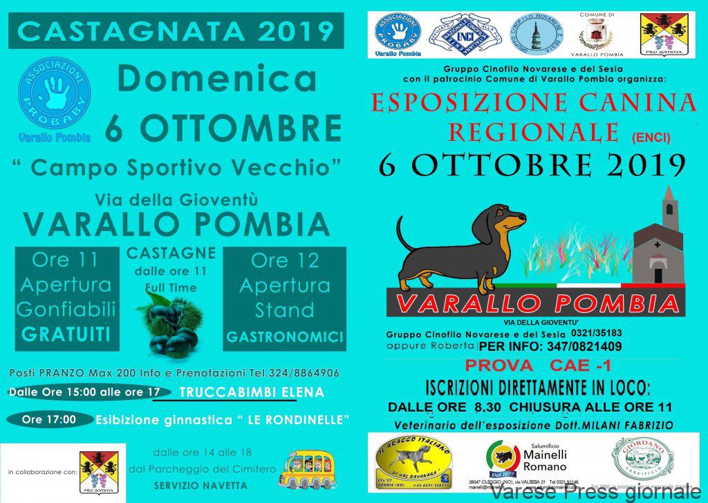 Varallo Pombia: esposizione canina regionale il 6 ottobre